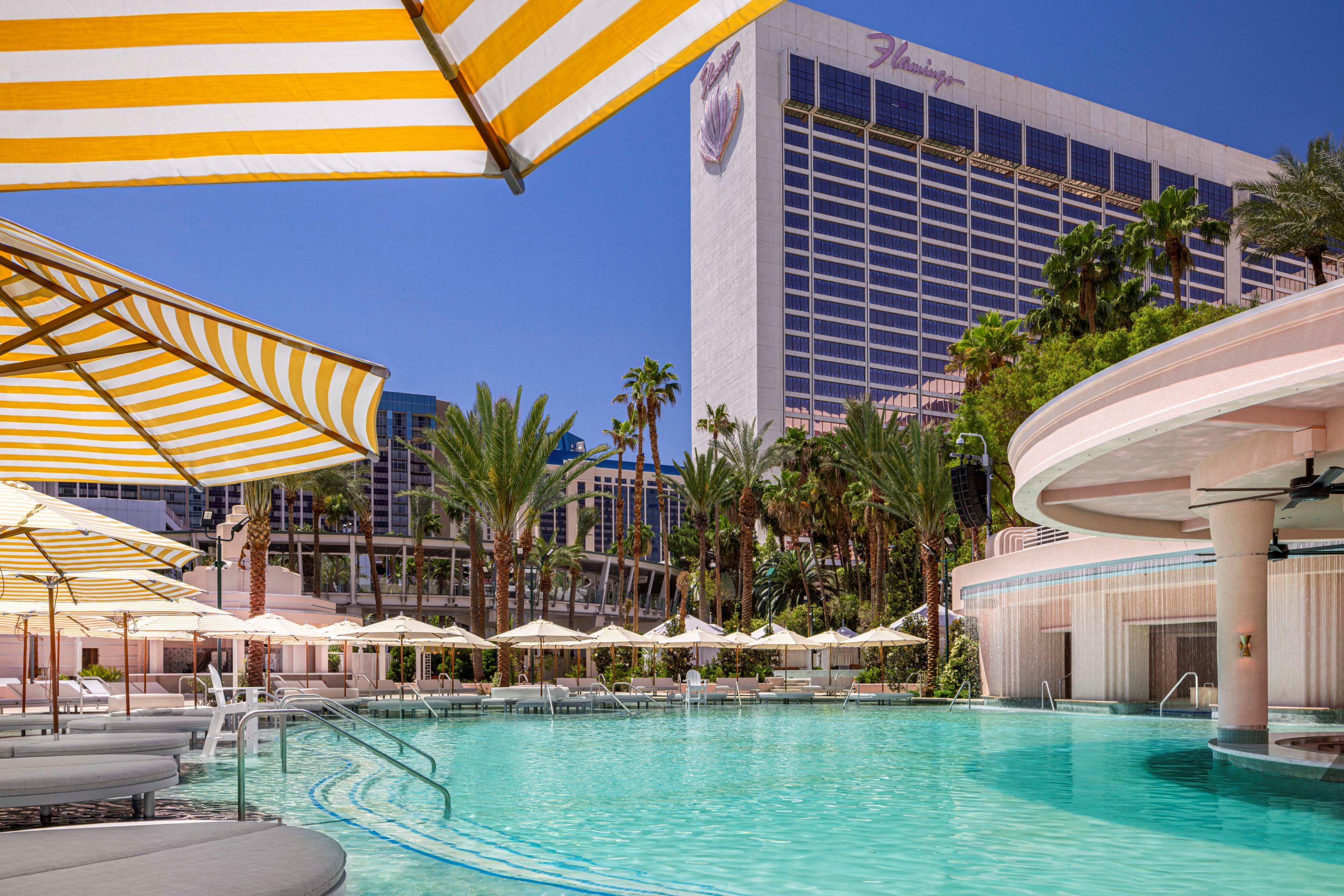Holidays at Flamingo Hotel in Las Vegas, Nevada