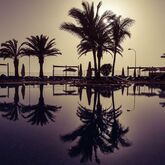 Bull Dorado Beach & Spa Picture 8