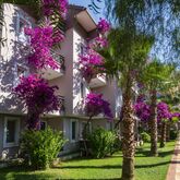 Club Dizalya Hotel Picture 5