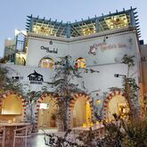 Turtles Inn Picture 15