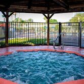 Holidays at Seralago Hotel and Suites Main Gate East in Kissimmee, Florida