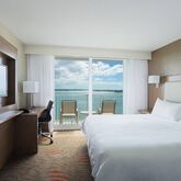 Marriott Suites On Sand Key Picture 3