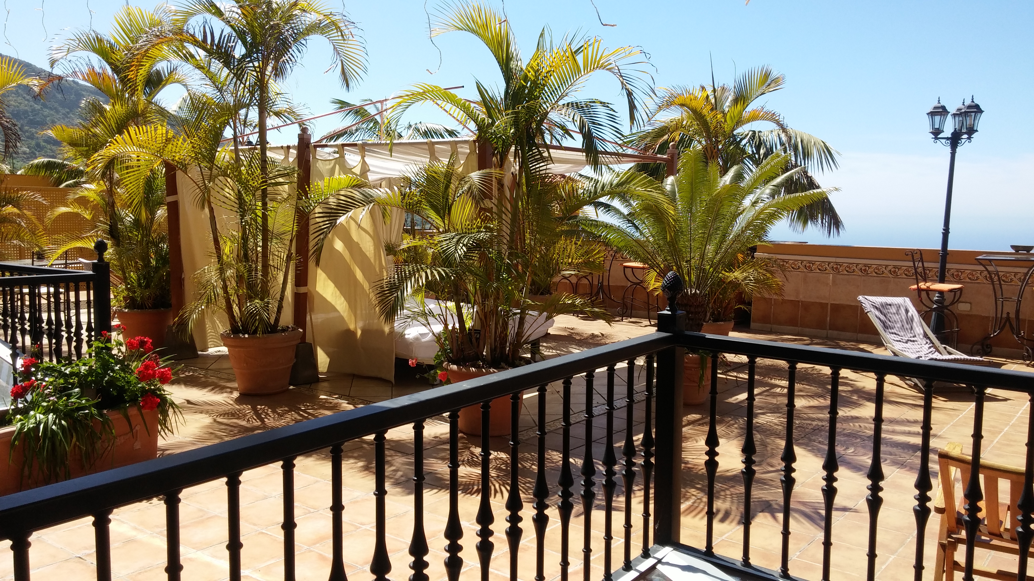 Holidays at Estrella Del Norte Hotel in Icod de los Vinos, Tenerife